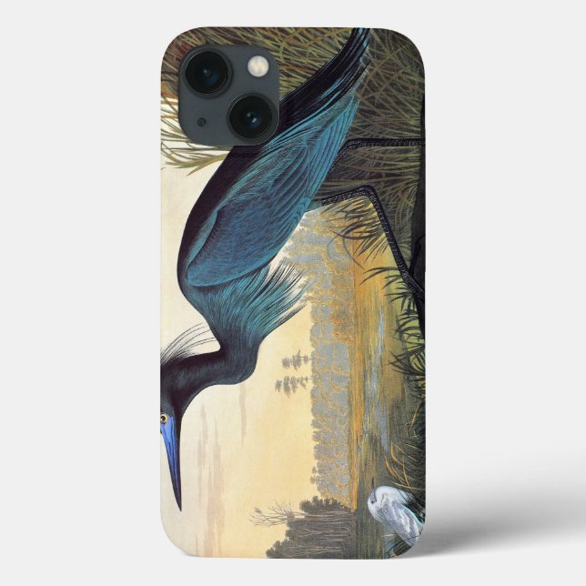 Coques Case-Mate iPhone Audubon : Petit héron bleu (Verso)
