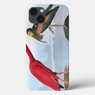 Coque Case-Mate iPhone Audubon Scarlet Ibis