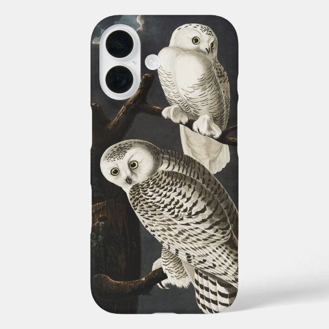 Coques Case-Mate iPhone Audubon Snowy Owl Bird Artwork (Verso)