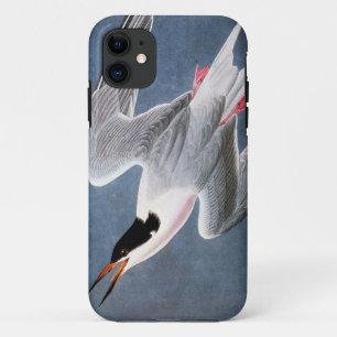 Coque Case-Mate Pour iPhone Audubon : Sterne rose