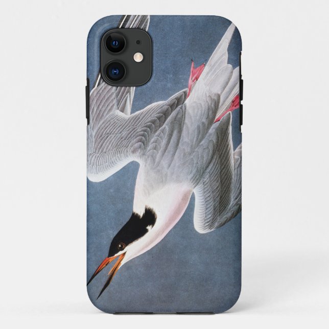 Coques Case-Mate iPhone Audubon : Sterne rose (Dos)
