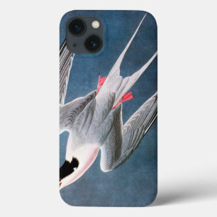 Coques Pour iPhone Audubon : Sterne rose