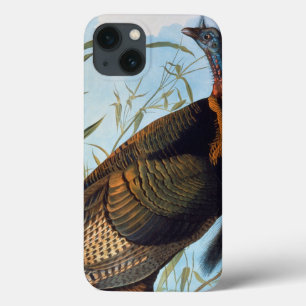 Etui iPhone Case-Mate Audubon : Turquie sauvage