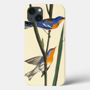 iPhone 13 Coque Audubon: Warbler