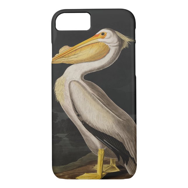 Coques Case-Mate iPhone Audubon White Pelican Bird Amérique (Dos)