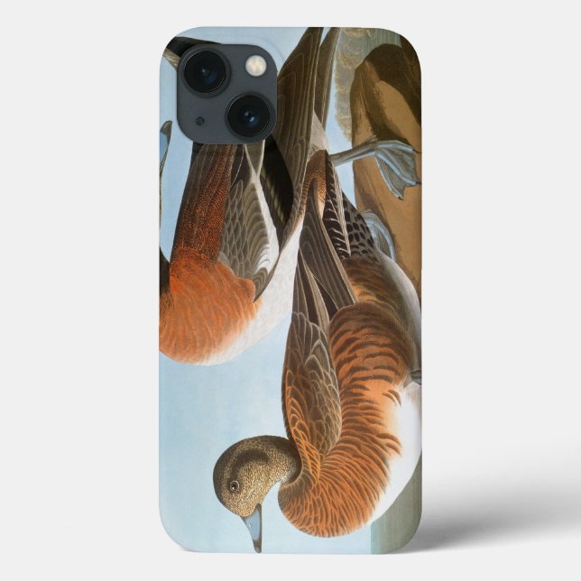 Coques Case-Mate iPhone Audubon: Wigeon (Verso)