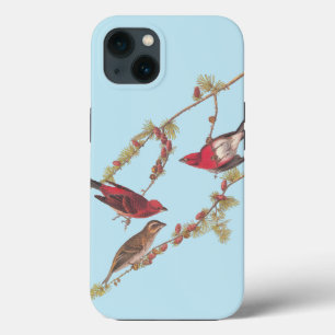 Case-Mate iPhone Case Audubon's Purple Finch Red Birds