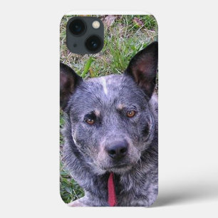 Case-Mate iPhone Case Australian_cattle_dog blue.png