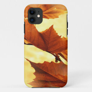 Coque Case-Mate Pour iPhone Automne