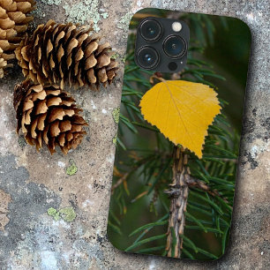 Case-Mate iPhone Case Automne Jaune Quaking Aspen Leaf Photographie
