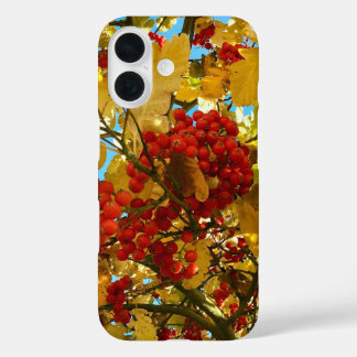 Coque Pour iPhone 16 Automne Rouge Berry orange Arbre de la Couronne Ph