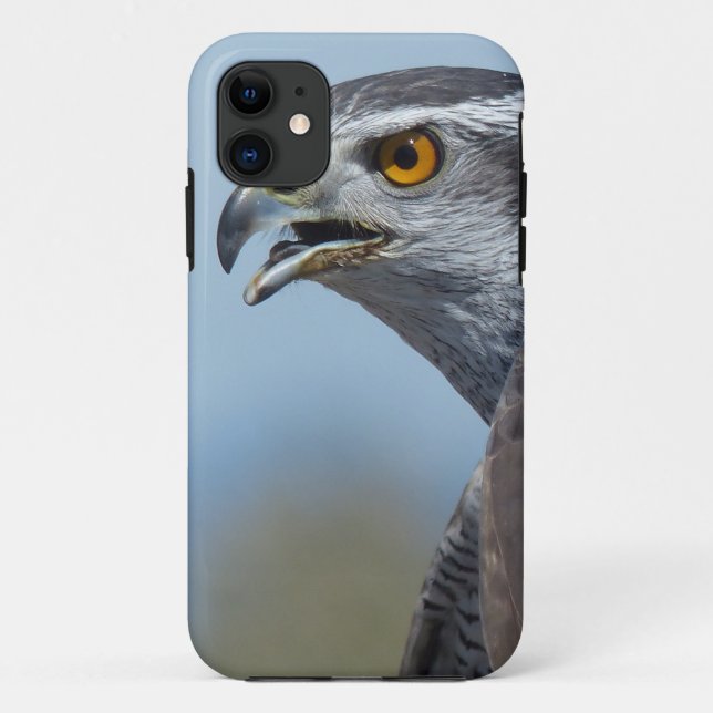 Coques Case-Mate iPhone Autour des palombes criant (Dos)