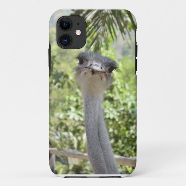 Coques Case-Mate iPhone Autruche (Dos)