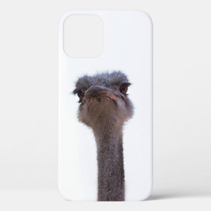 Case-Mate iPhone Case autruche