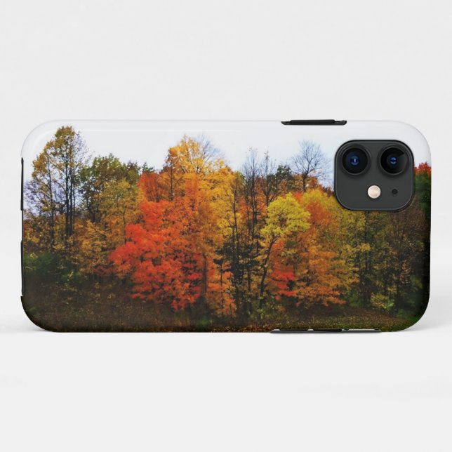 Coques Case-Mate iPhone Autumn à West Bend, Wisconsin (Dos (Horizontal))