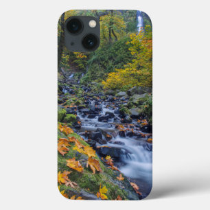 Etui iPhone 13 Autumn Color Along Starvation Creek Falls
