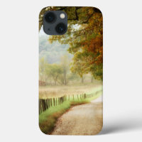 Autumn on a Country Road