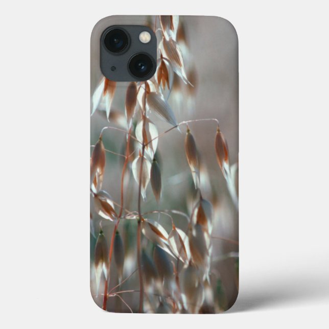 Coques Case-Mate iPhone Avoine Mûre (Avena Sativa) Gros Plan. Ceres, Bolan (Verso)