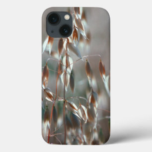 Etui iPhone Case-Mate Avoine Mûre (Avena Sativa) Gros Plan. Ceres, Bolan