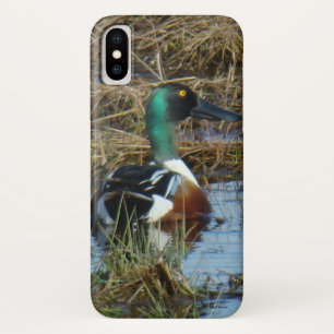 Coque Case-Mate Pour iPhone B26 Northern Shoveler