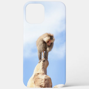 Case-Mate iPhone Case Babouin majestueux sur un sommet de montagne