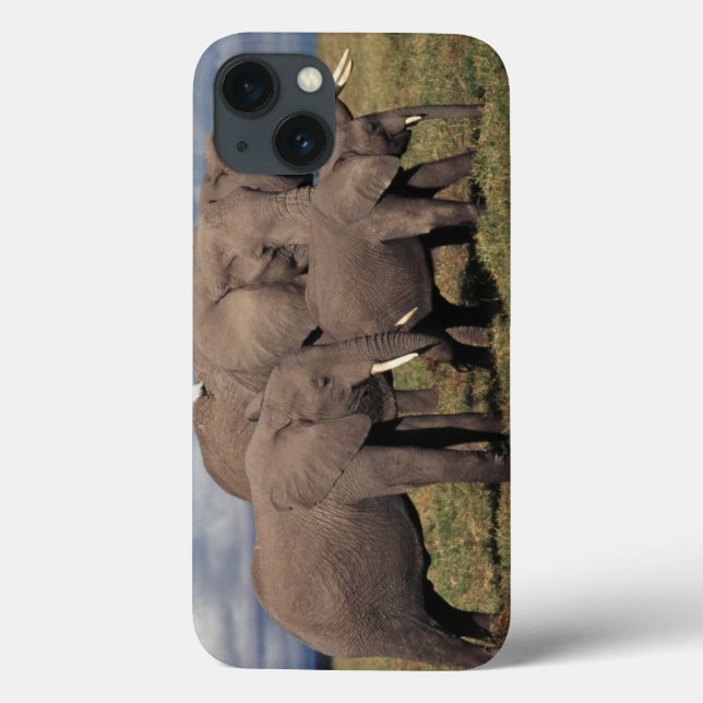 Coques Case-Mate iPhone Baby African Elephant with family (Verso)