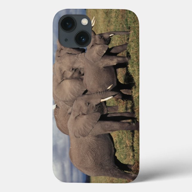 Coques Case-Mate iPhone Baby African Elephant with family (Verso)