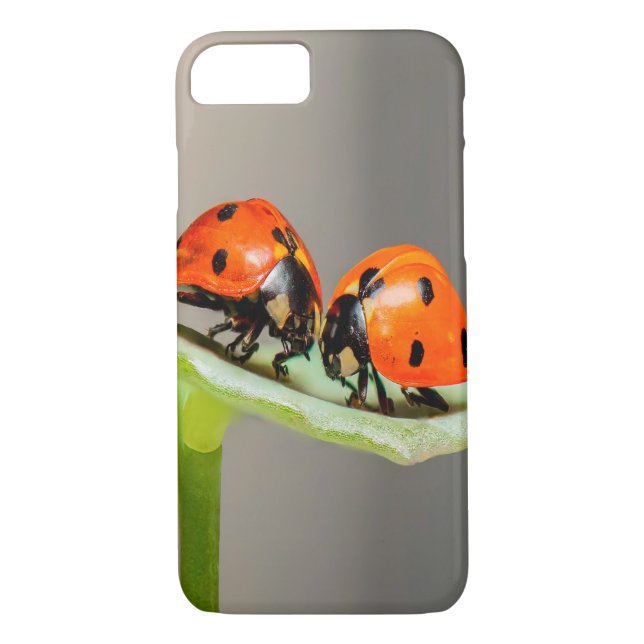 Coques Case-Mate iPhone Baiser Ladybugs (Dos)