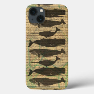 Etui iPhone 13 Baleine antique Vie marine