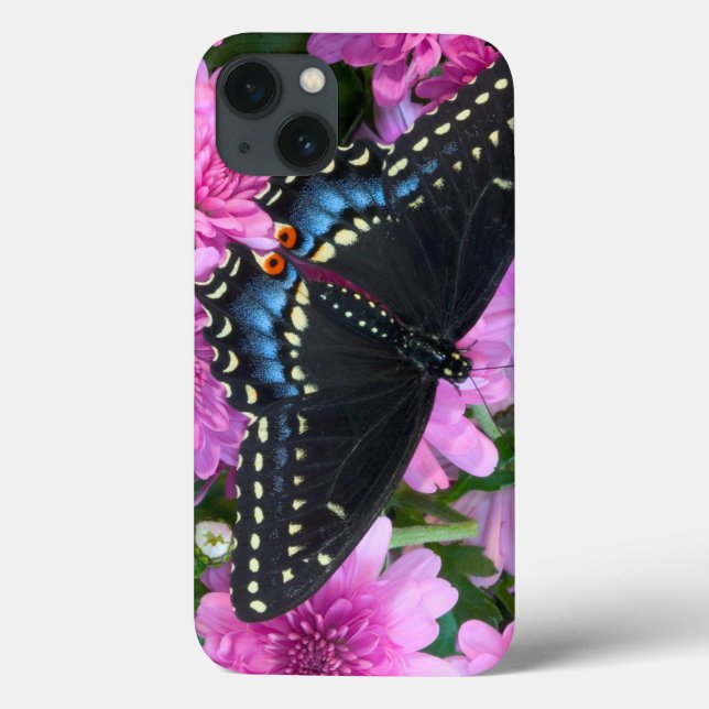 Coques Case-Mate iPhone Baltimore Checkered Butterfly (Verso)
