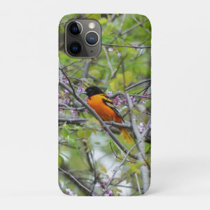Case-Mate iPhone Case Baltimore Oriole