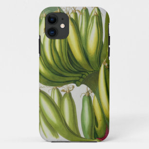 Coque Case-Mate Pour iPhone Banane, gravée par Johann Jakob Haid (1704-67) pl