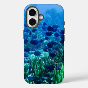 Coque Pour iPhone 16 Banc de discus bleus sous l'eau
