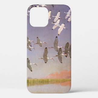 Coques Pour iPhone Banc d'ibis volant au-dessus des zones humides, oi