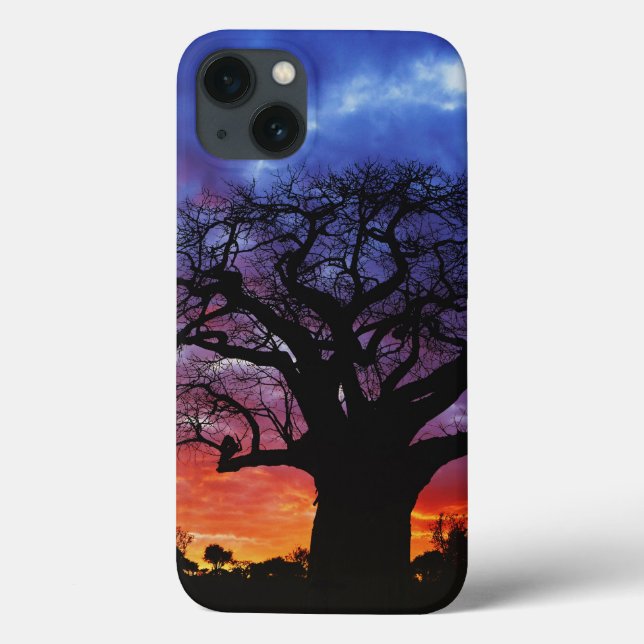 Coques Case-Mate iPhone Baobab africain, Adansonia digitata, 2 (Verso)