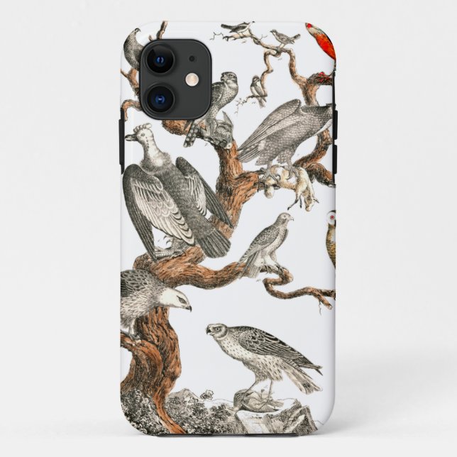 Coques Case-Mate iPhone Barn Owl Snowy Bird Nature (Dos)
