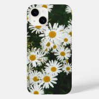 Basière à oeil blanc, prairie à marguerite de la l