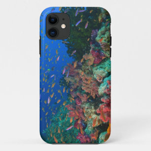 Coque Case-Mate iPhone Basslets fées en banc (Pseudanthias squaminipinnis