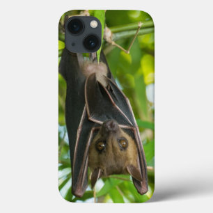 Etui iPhone 13 Bat