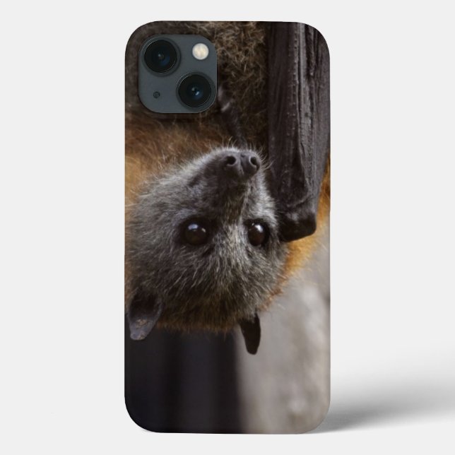 Coques Case-Mate iPhone Bat australien (Verso)