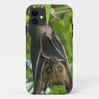 Coque iPhone 11 Batte