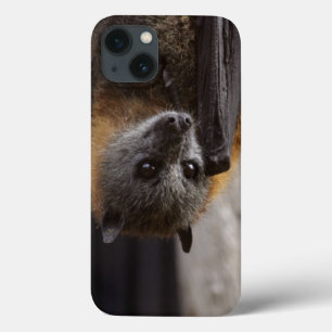 Etui iPhone Case-Mate Batte australienne