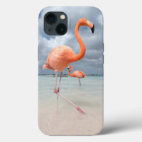 Beaches tropicales | Flamingos Beach, Aruba