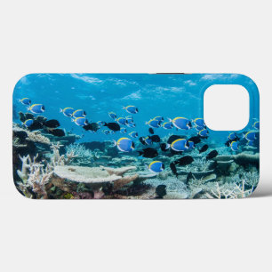 Case-Mate iPhone Case Beaches tropicales   Sturgeon