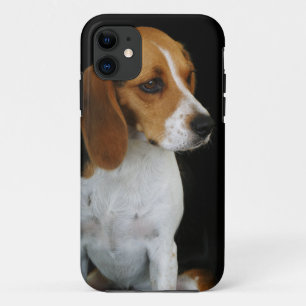 Coques Pour iPhone Beagle classique