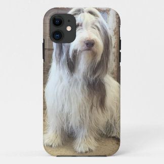 Coque iPhone 11 Bearded Collie