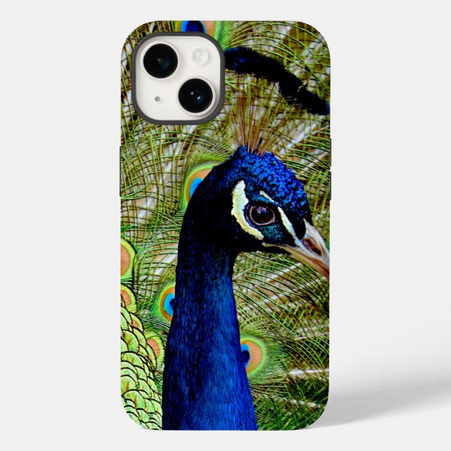 Coques Case-Mate iPhone Beau Bleu Vert Peacock Oiseau Joli (Verso)