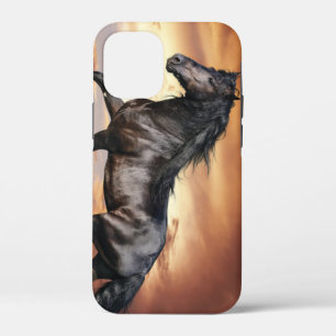 Case-Mate iPhone Case Beau Cheval Noir