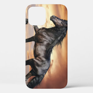 Case-Mate iPhone Case Beau Cheval Noir