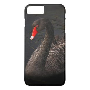 Coque Case-Mate Pour iPhone Beau cygne noir avec un bec rouge vif